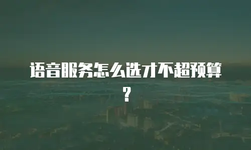 语音服务怎么选才不超预算？