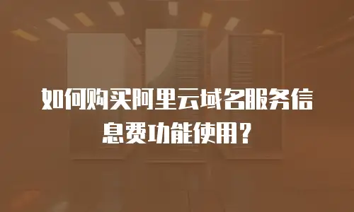 如何购买阿里云域名服务信息费功能使用？