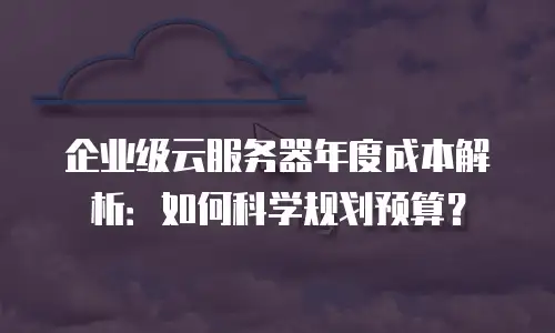 企业级云服务器年度成本解析：如何科学规划预算？