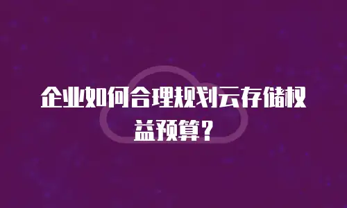 企业如何合理规划云存储权益预算？