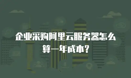 企业采购阿里云服务器怎么算一年成本？