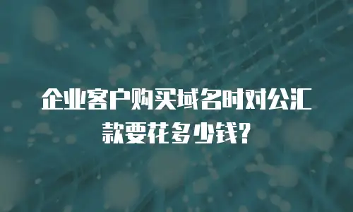 企业客户购买域名时对公汇款要花多少钱？