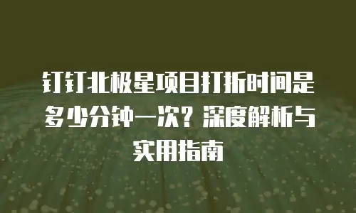钉钉北极星项目打折时间是多少分钟一次？深度解析与实用指南