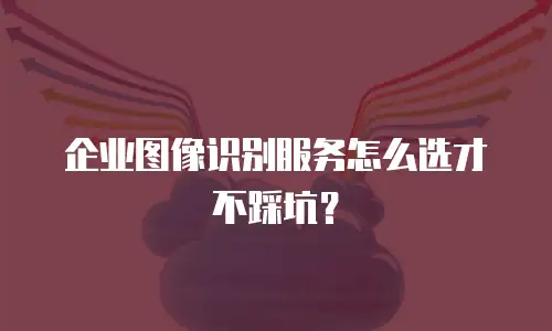 企业图像识别服务怎么选才不踩坑？