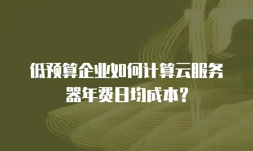 低预算企业如何计算云服务器年费日均成本？
