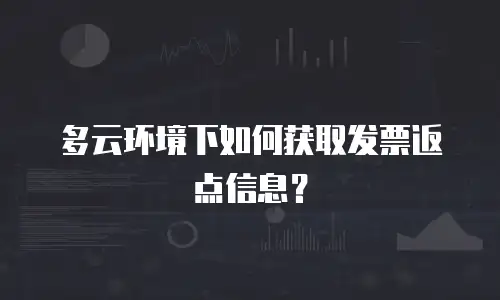 多云环境下如何获取发票返点信息？