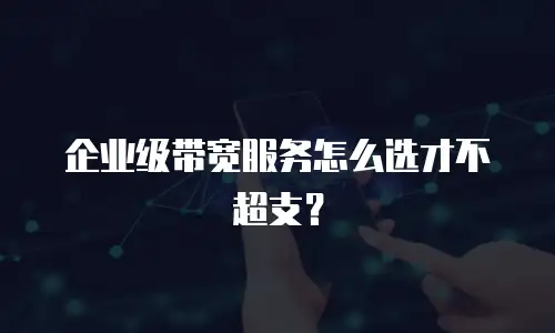 企业级带宽服务怎么选才不超支？