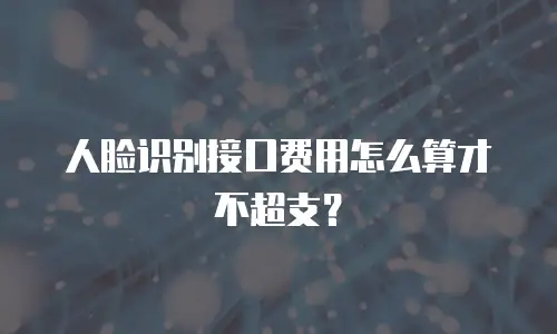 人脸识别接口费用怎么算才不超支？