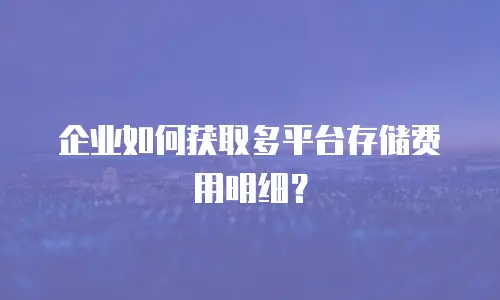 企业如何获取多平台存储费用明细？