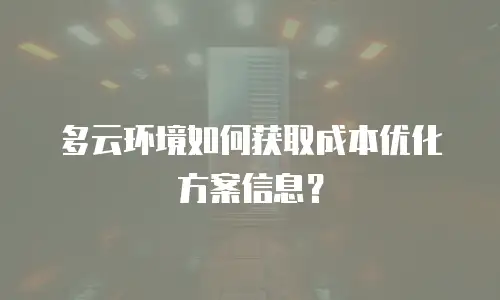 多云环境如何获取成本优化方案信息？
