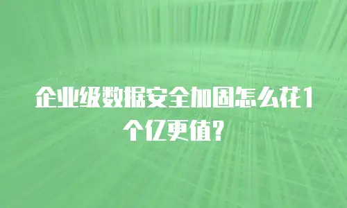 企业级数据安全加固怎么花1个亿更值？