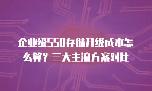 企业级SSD存储升级成本怎么算？三大主流方案对比