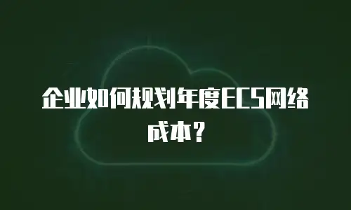 企业如何规划年度ECS网络成本？