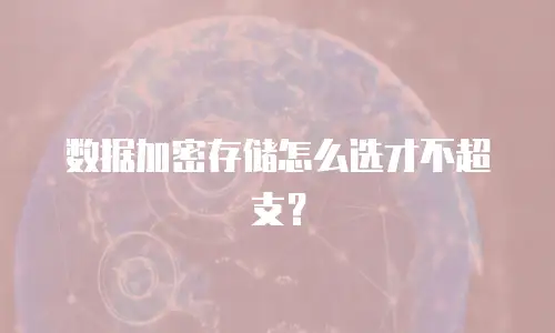 数据加密存储怎么选才不超支？