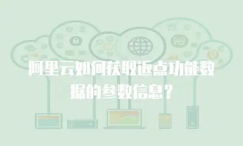 阿里云如何获取返点功能数据的参数信息？