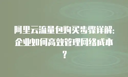 阿里云流量包购买步骤详解：企业如何高效管理网络成本？