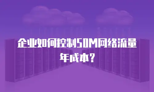 企业如何控制50M网络流量年成本？