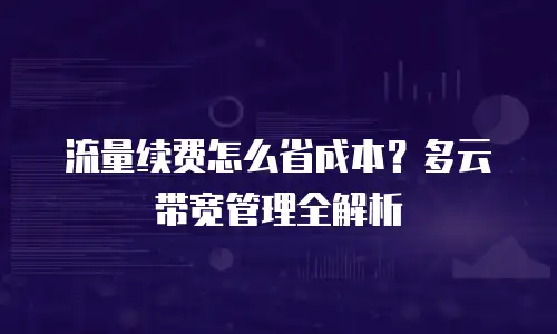 流量续费怎么省成本？多云带宽管理全解析