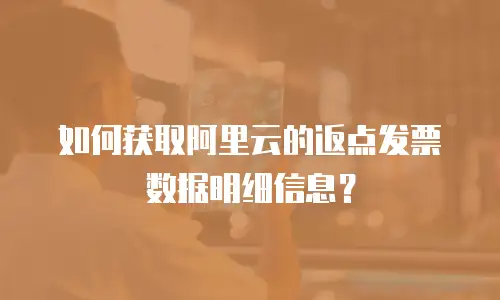 如何获取阿里云的返点发票数据明细信息？