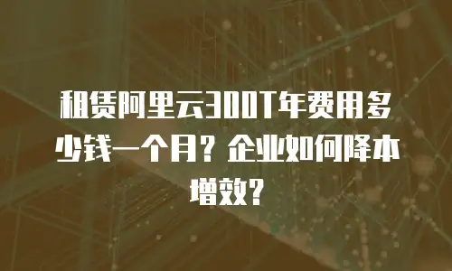 租赁阿里云300T年费用多少钱一个月？企业如何降本增效？