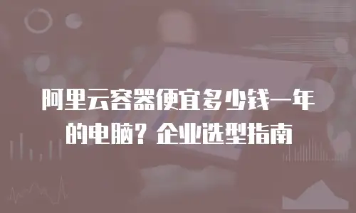 阿里云容器便宜多少钱一年的电脑？企业选型指南