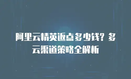 阿里云精英返点多少钱？多云渠道策略全解析
