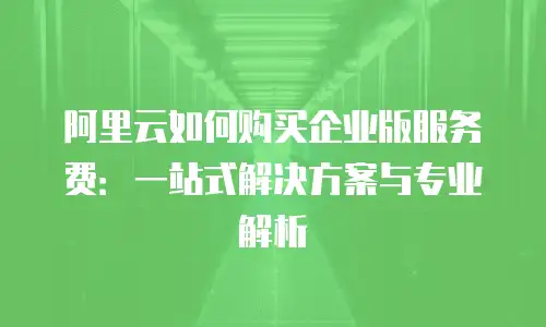 阿里云如何购买企业版服务费：一站式解决方案与专业解析