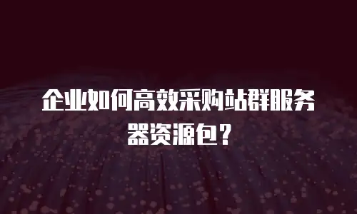 企业如何高效采购站群服务器资源包？
