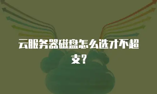 云服务器磁盘怎么选才不超支？