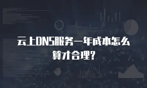 云上DNS服务一年成本怎么算才合理？
