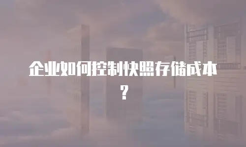 企业如何控制快照存储成本？