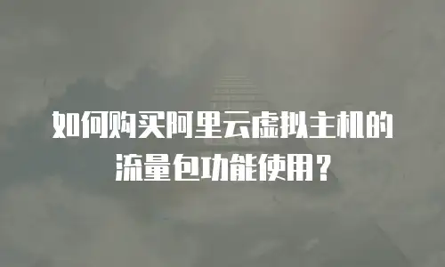 如何购买阿里云虚拟主机的流量包功能使用？