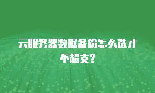 云服务器数据备份怎么选才不超支？