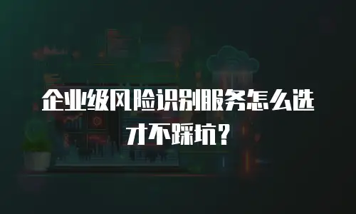 企业级风险识别服务怎么选才不踩坑？