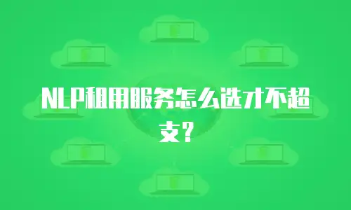 NLP租用服务怎么选才不超支？