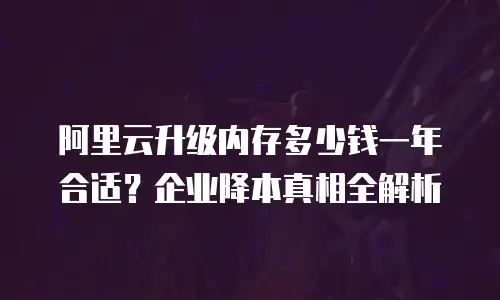 阿里云升级内存多少钱一年合适？企业降本真相全解析