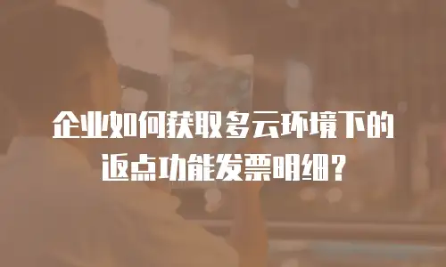 企业如何获取多云环境下的返点功能发票明细？