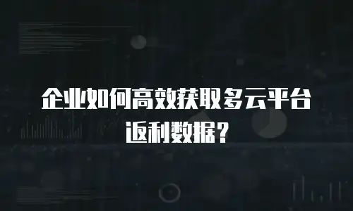 企业如何高效获取多云平台返利数据？