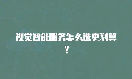 视觉智能服务怎么选更划算？