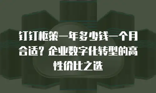 钉钉枢策一年多少钱一个月合适？企业数字化转型的高性价比之选