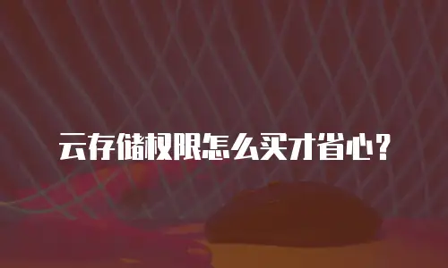 云存储权限怎么买才省心？