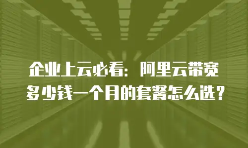 企业上云必看：阿里云带宽多少钱一个月的套餐怎么选？