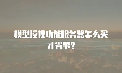 模型授权功能服务器怎么买才省事？