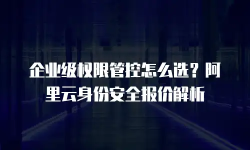 企业级权限管控怎么选？阿里云身份安全报价解析