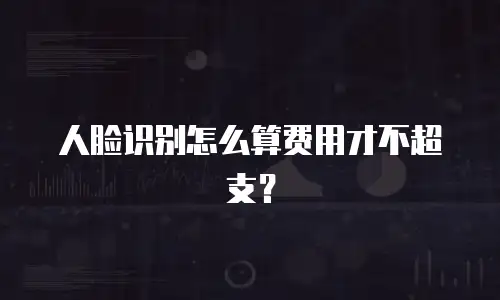 人脸识别怎么算费用才不超支？