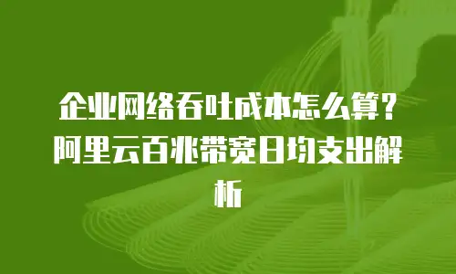 企业网络吞吐成本怎么算？阿里云百兆带宽日均支出解析
