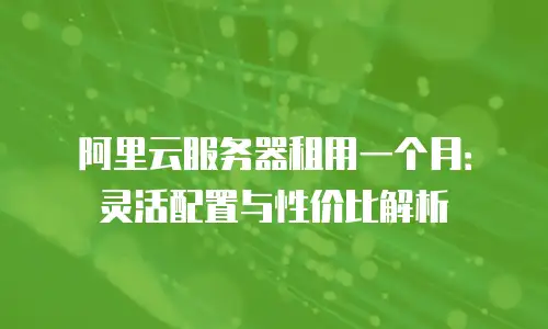 阿里云服务器租用一个月：灵活配置与性价比解析