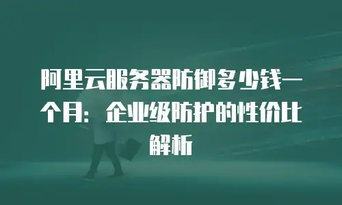 阿里云服务器防御多少钱一个月：企业级防护的性价比解析
