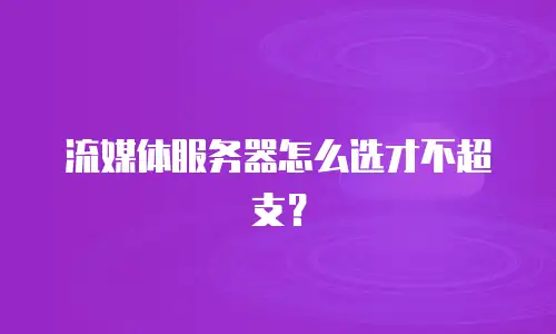 流媒体服务器怎么选才不超支？