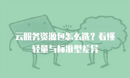 云服务资源包怎么选？看懂轻量与标准型差异